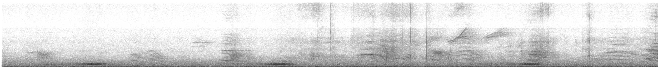 holub neotropický - ML425766231