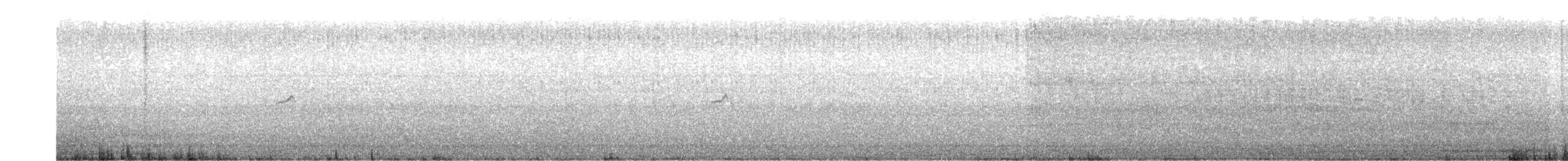 gransanger (tristis) (sibirgransanger) - ML425771301