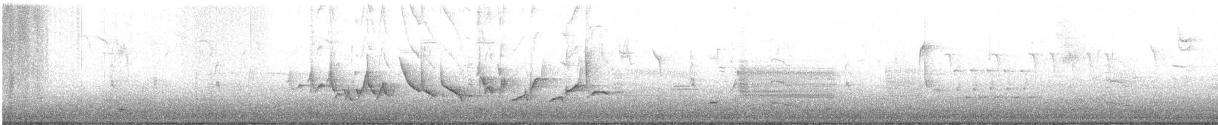 Purple Finch - ML425979031