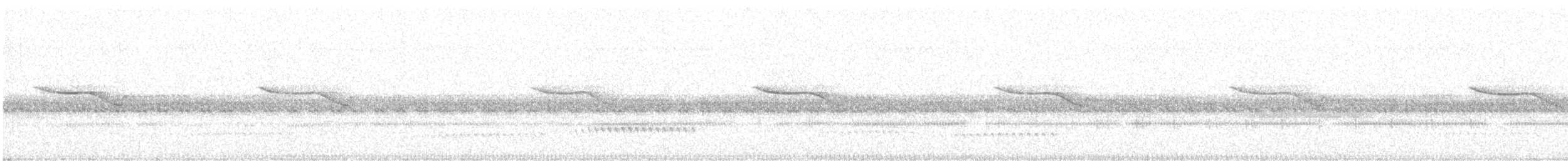 Breitspiegel-Nachtschwalbe - ML426004471