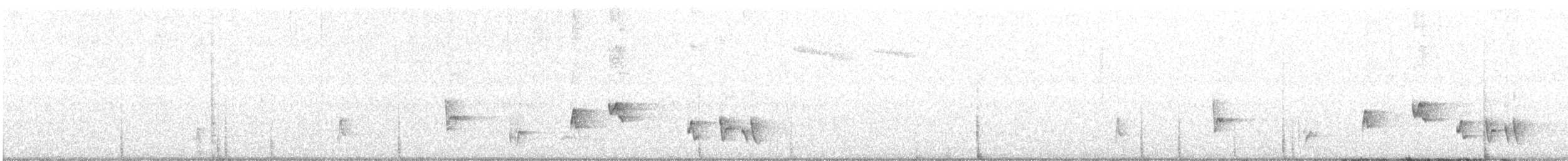 Сахалинский сверчок - ML426012011