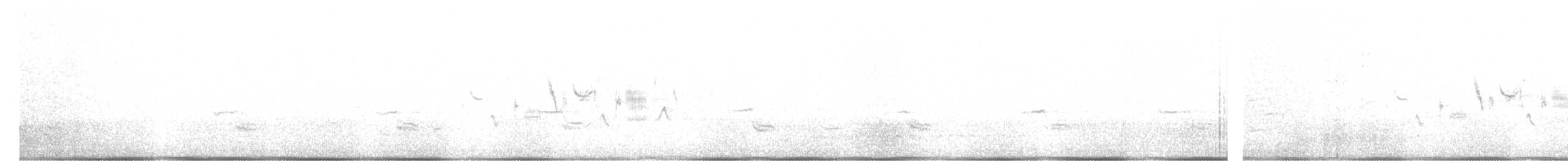 Ґоріон каліфорнійський (підвид clementeae) - ML426089301