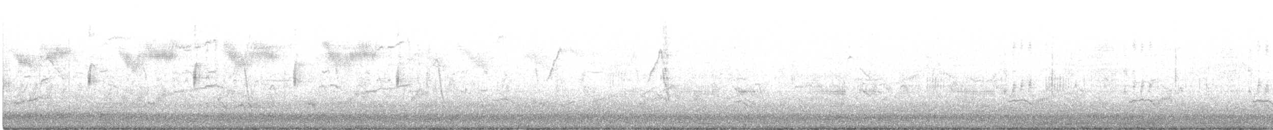 Хар тодол - ML426104811