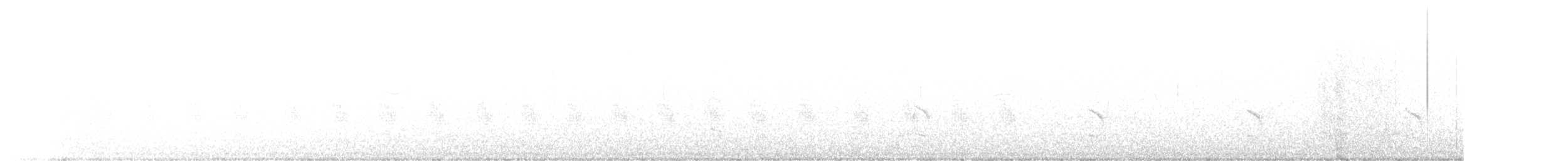 Белокрылый тапакуло - ML426125361