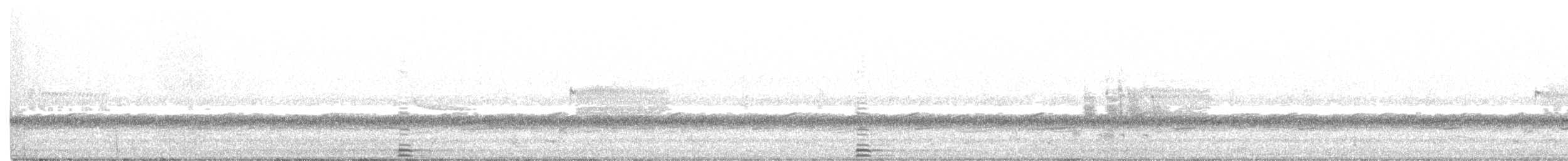 Cisne Trompetero - ML426151611