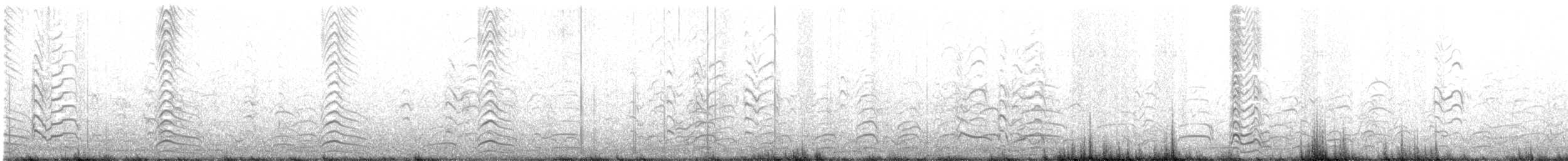 Antxeta mokogorri amerikarra - ML426170141