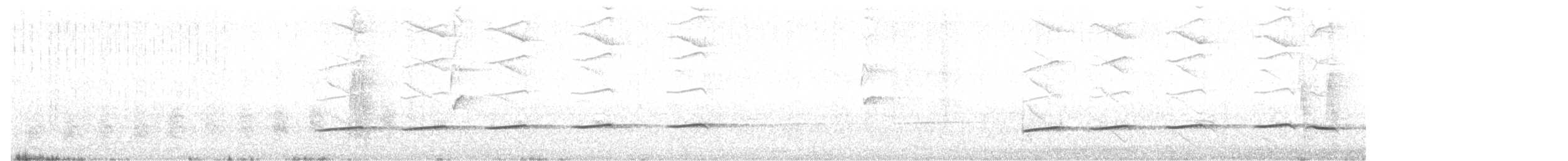 Striped Cuckoo - ML426198271