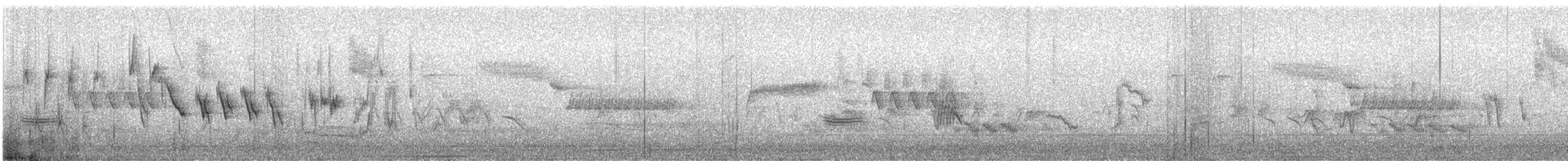 passereau sp. - ML426199741