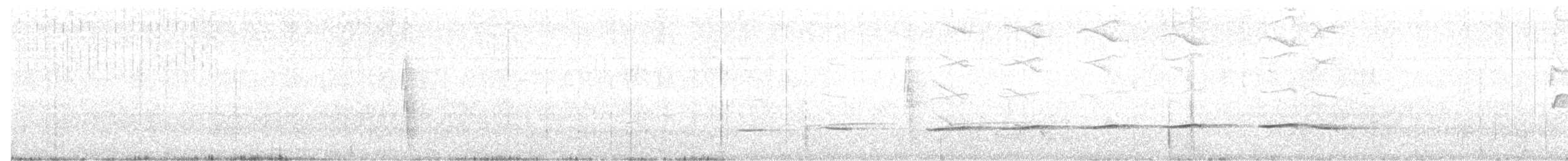 Striped Cuckoo - ML426201551