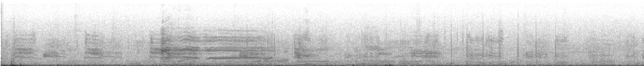 svartbrynalbatross (melanophris) - ML426247371