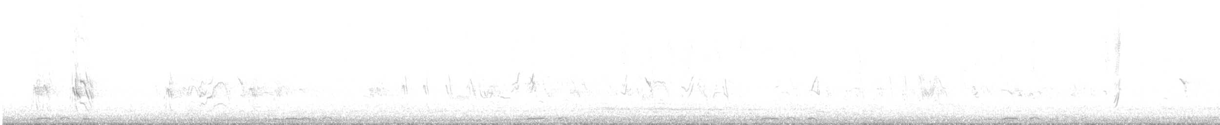 Ethiopian Swallow - ML426254041
