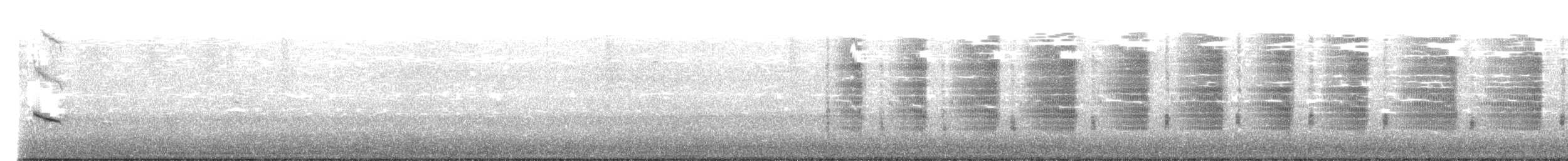 Boat-tailed Grackle - ML426275421