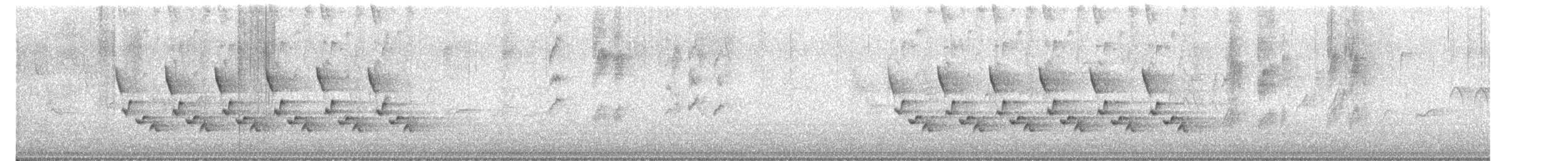 Поплітник каролінський - ML426323361