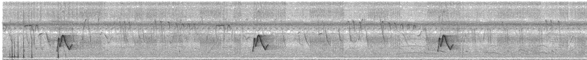 Superciliated Wren - ML426347481