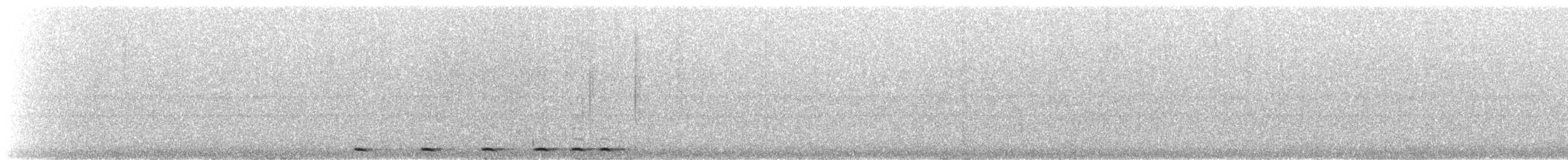 Western Screech-Owl - ML426391011