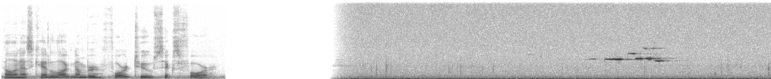 White-tailed Robin - ML4264