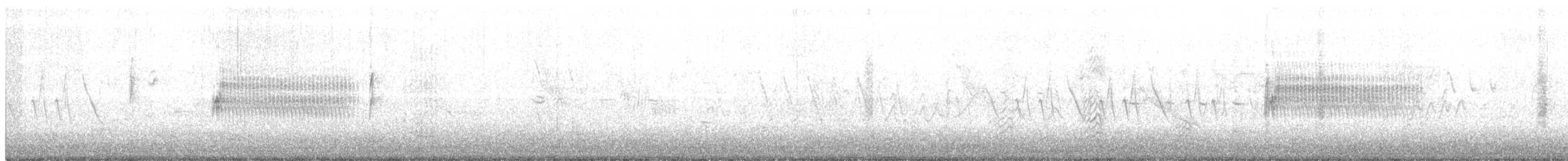 Тауї плямистий - ML426431121
