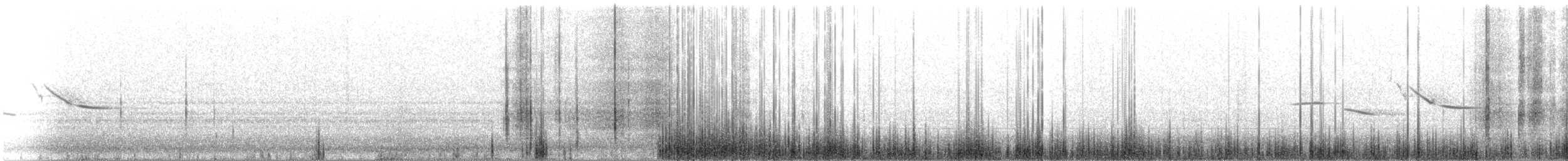 englerketrupial (magna gr.) - ML426502701