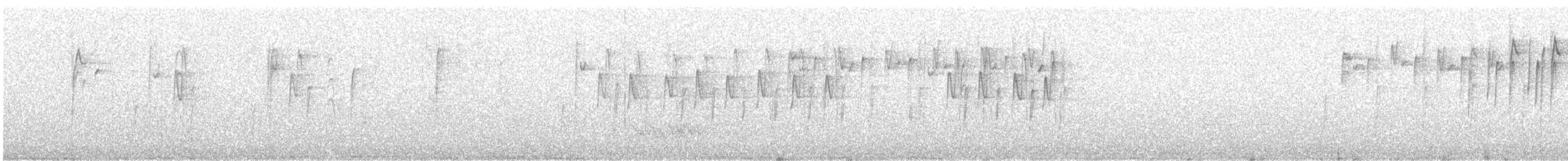 Goldhähnchen-Dornschnabel - ML426520211