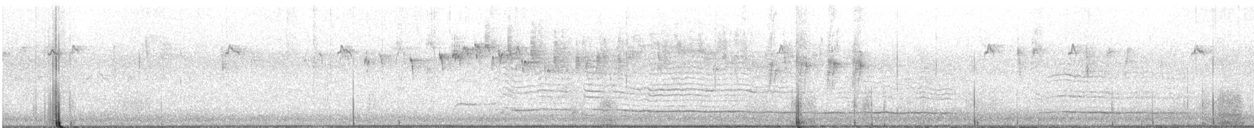 Méliphage à tête brune - ML426521321