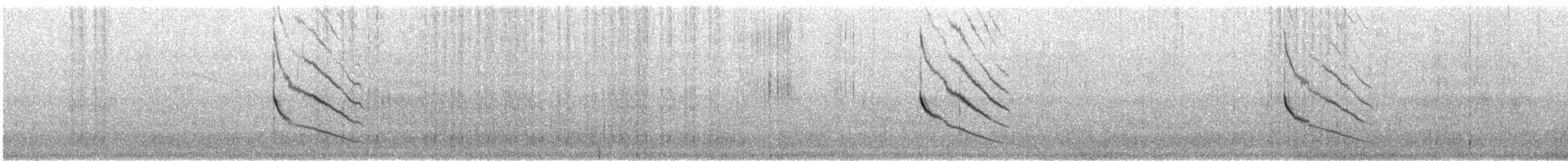 Uzun Kuyruklu Sinklot (espinhacensis) - ML426540581