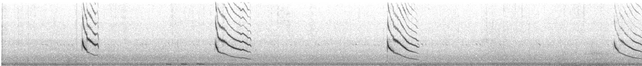 Uzun Kuyruklu Sinklot (espinhacensis) - ML426540591