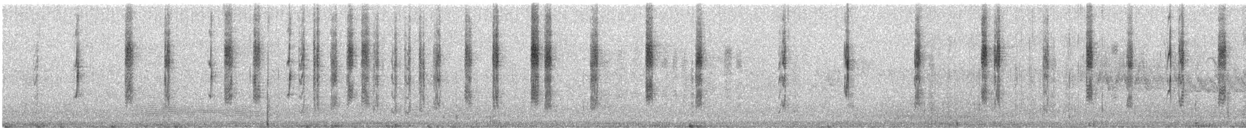 Гиацинтовый колибри-капуцин - ML426546841