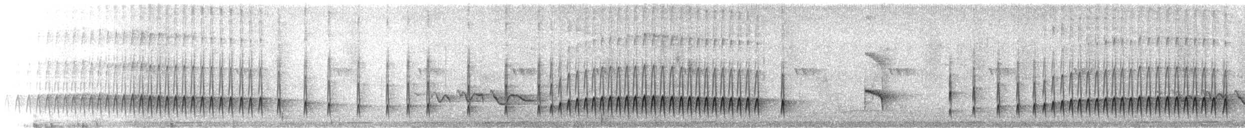 Mégasittine du Brésil - ML426547071