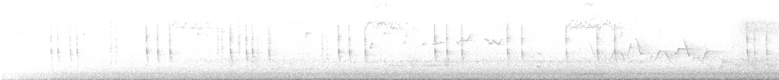 Northern House Wren - ML426550921