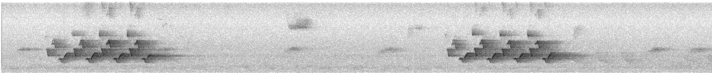 Каролинский крапивник - ML426615161