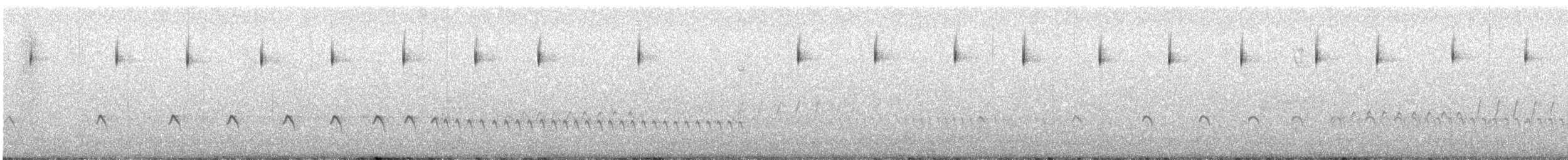 Bell's Sparrow (belli) - ML426642251