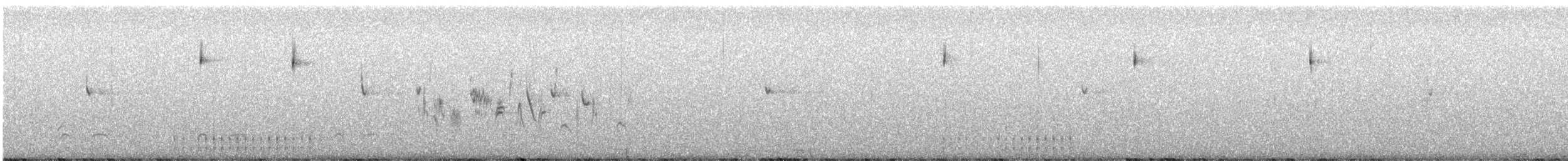Bell's Sparrow (belli) - ML426642271