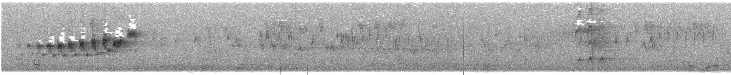 gråparula - ML426651071