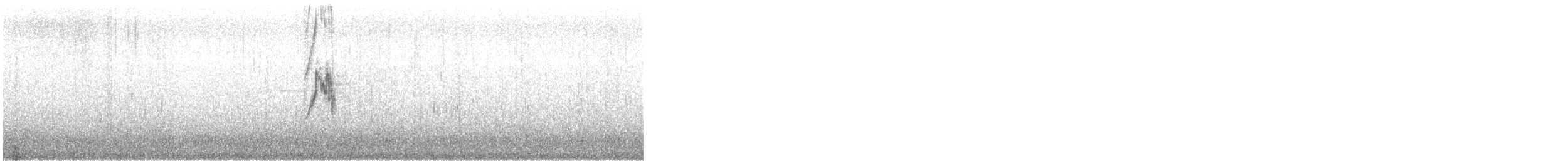 gulerle (cinereocapilla gr.) - ML426662171