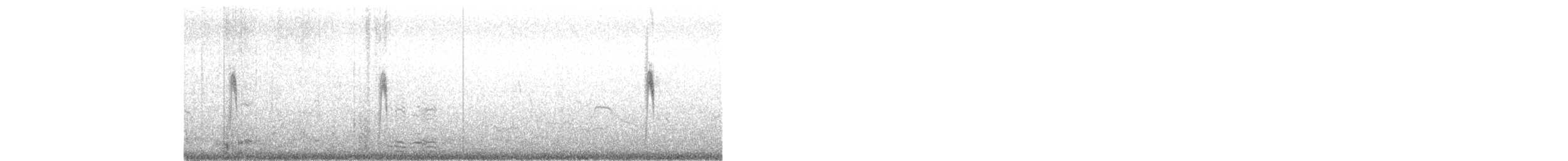 Lavandera Blanca (subpersonata) - ML426662601