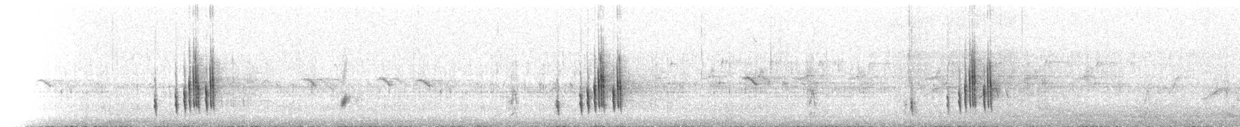 Merle du Yémen - ML426751291