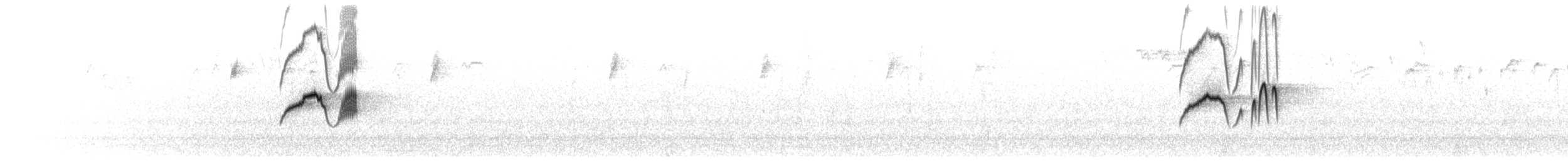 Eastern Phoebe - ML426779621