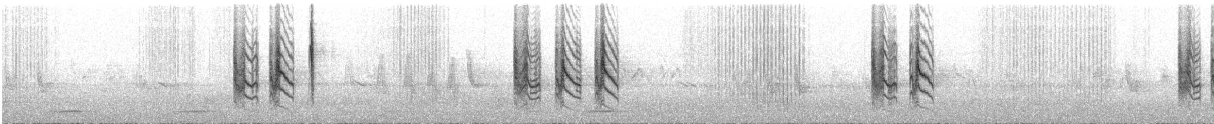 Souimanga de Palestine - ML426792061