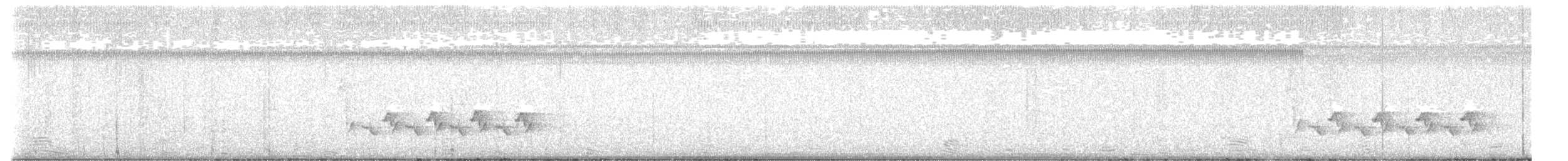 Поплітник каролінський - ML426815151
