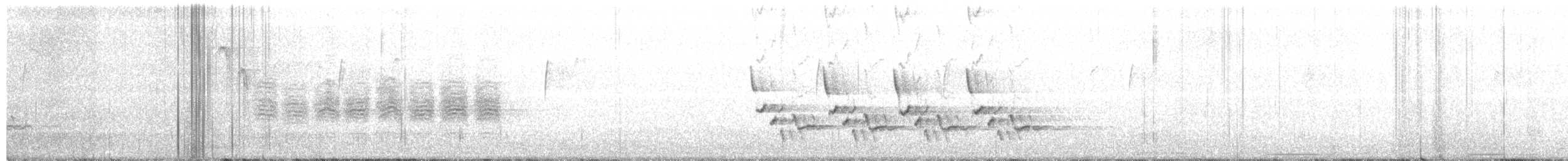 Поплітник каролінський - ML426872411