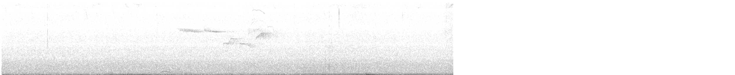 Brown Creeper - ML426917221
