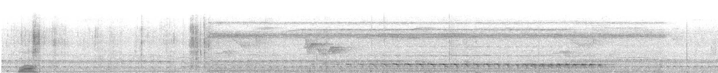 White-tailed Trogon - ML426935651