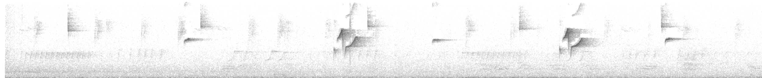 Western Flycatcher (Pacific-slope) - ML426961941