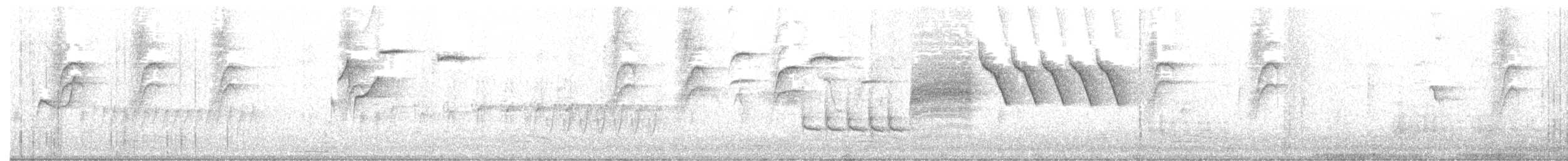 Bewick's Wren - ML426964621