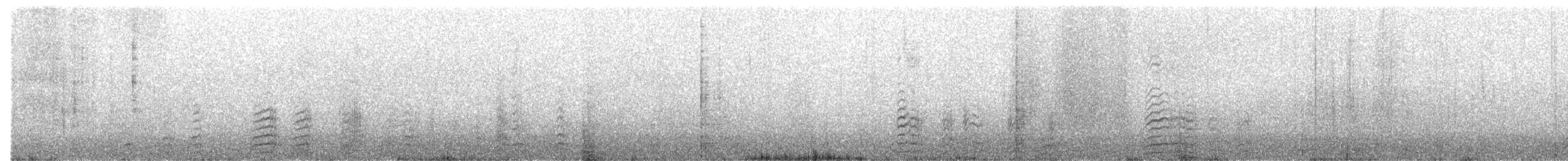 Bufflehead - ML427015551
