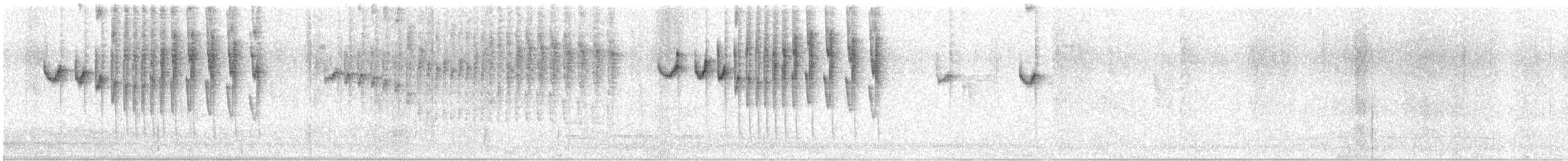 Black-tailed Trainbearer - ML427057621