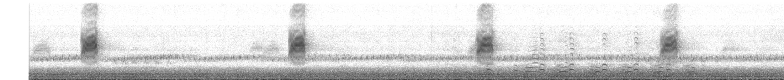 American Woodcock - ML427183111