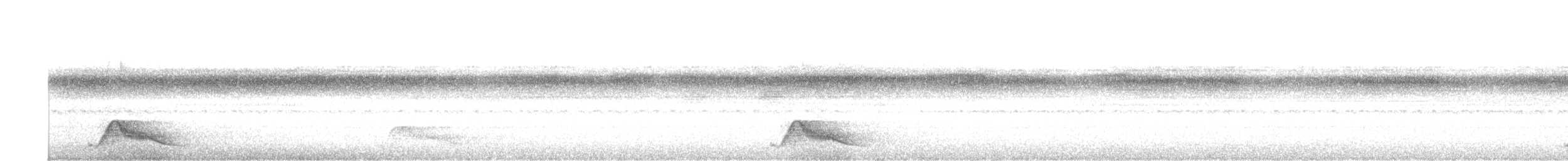 Pauraquenachtschwalbe - ML427233011