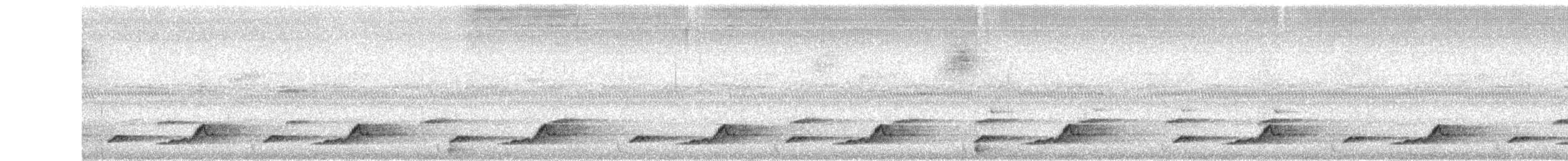 Schwarzkehl-Nachtschwalbe - ML427286021