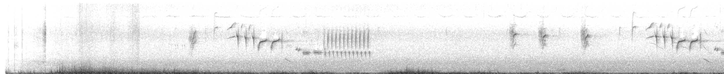 Troglodyte de Bewick - ML427341451